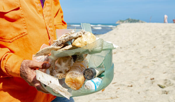 Retirados 2700 kilos de basuras de Playa Los Cocos y río Manzanares