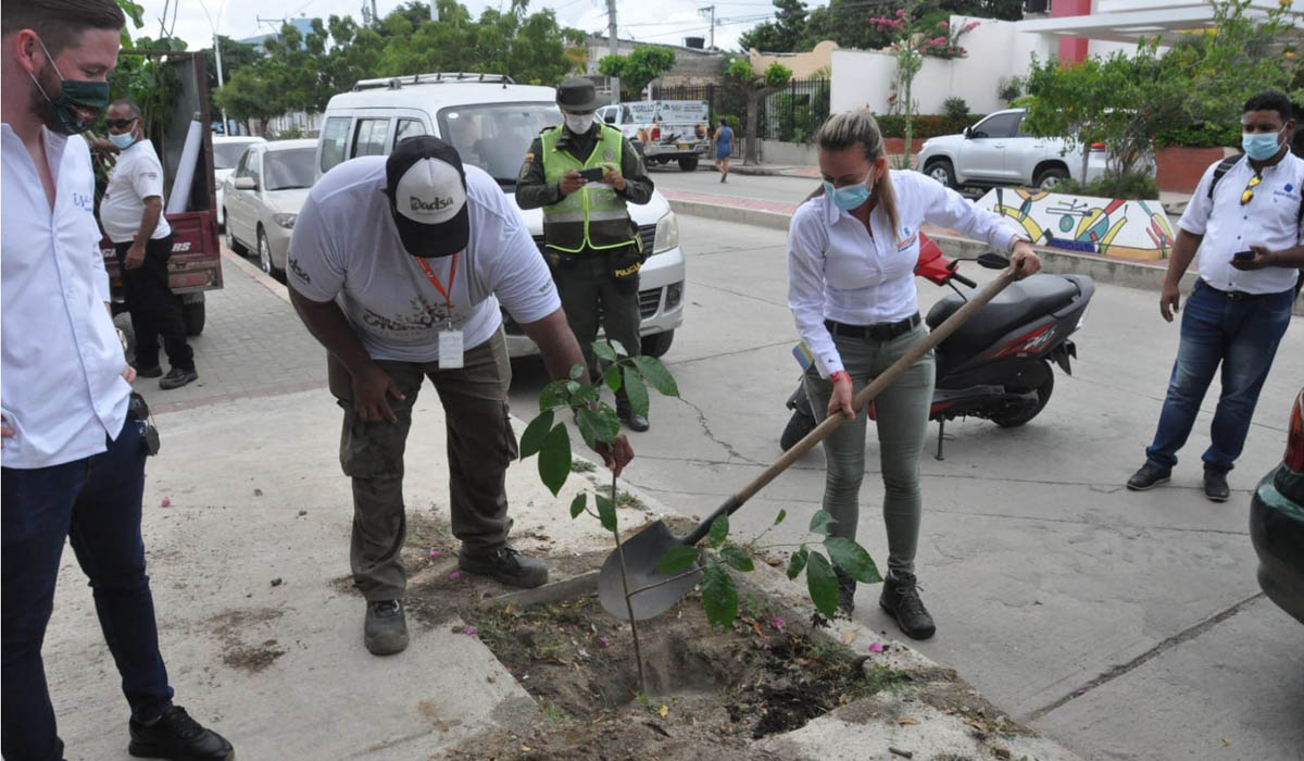 Dadsa recibió 1.500 árboles al programa 'Santa Marta Siembra'